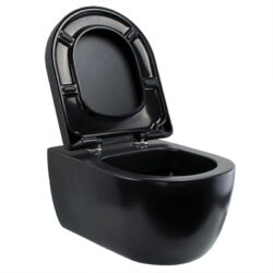 Plieger randloos wandcloset mat zwart inclusief softclose zitting