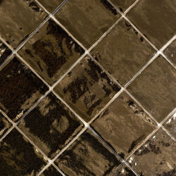 Gouden handvorm tegels 10x10 cm